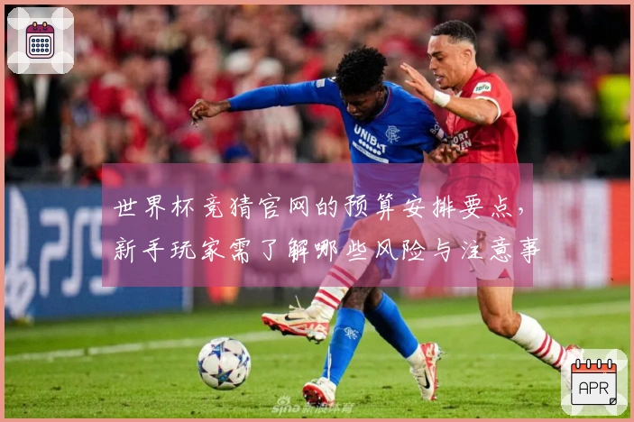 世界杯竞猜官网的预算安排要点，新手玩家需了解哪些风险与注意事项