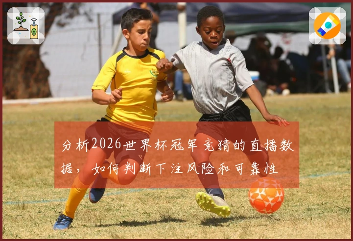 分析2026世界杯冠军竞猜的直播数据，如何判断下注风险和可靠性
