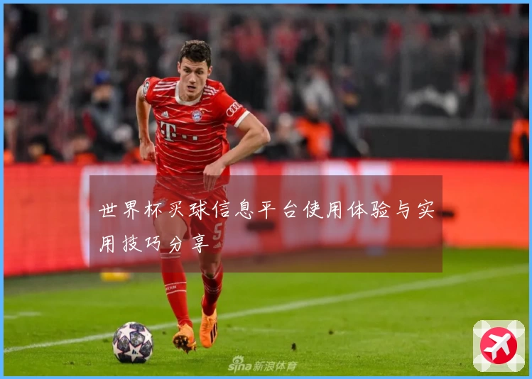 世界杯买球信息平台使用体验与实用技巧分享