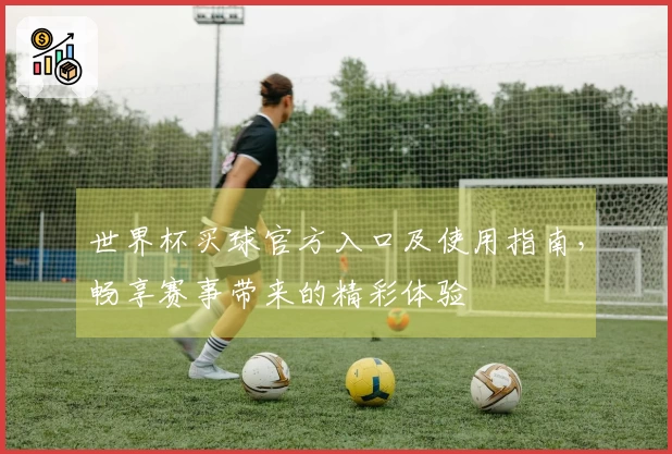 世界杯买球官方入口及使用指南，畅享赛事带来的精彩体验