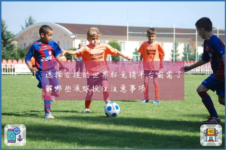 选择合适的世界杯竞猜平台前需了解哪些滚球投注注意事项