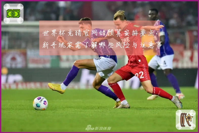 世界杯竞猜官网的预算安排要点，新手玩家需了解哪些风险与注意事项