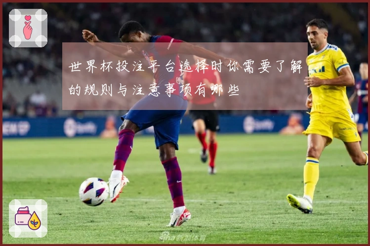 世界杯投注平台选择时你需要了解的规则与注意事项有哪些