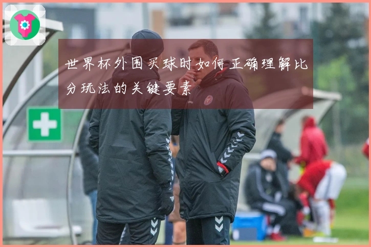 世界杯外围买球时如何正确理解比分玩法的关键要素
