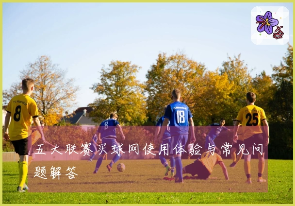 五大联赛买球网使用体验与常见问题解答