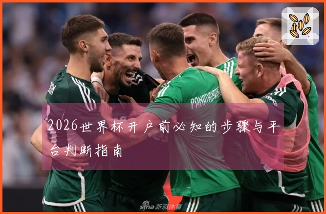 2026世界杯开户前必知的步骤与平台判断指南
