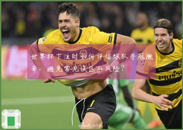 世界杯下注时如何评估球队夺冠概率,避免常见误区和风险?
