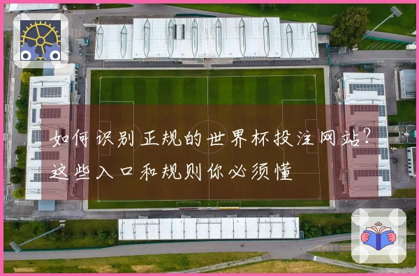 如何识别正规的世界杯投注网站？这些入口和规则你必须懂
