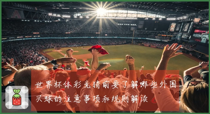 世界杯体彩竞猜前要了解哪些外围买球的注意事项和规则解读