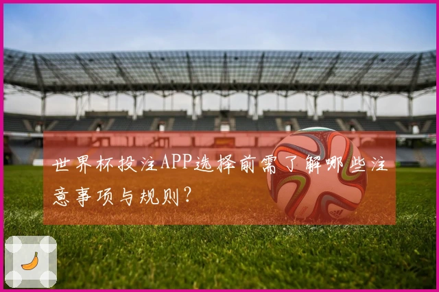 世界杯投注APP选择前需了解哪些注意事项与规则？