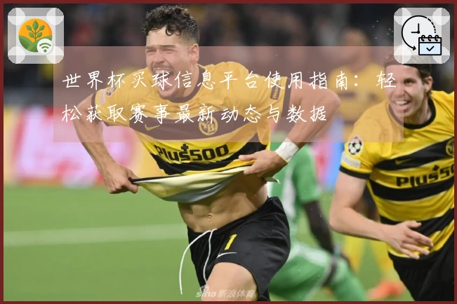 世界杯买球信息平台使用指南：轻松获取赛事最新动态与数据