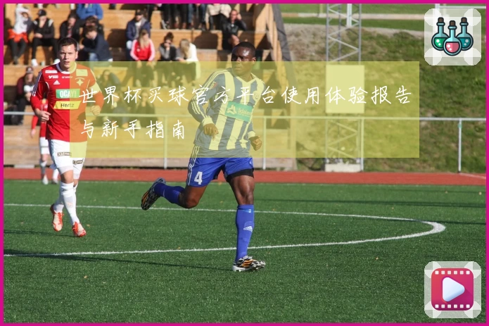 世界杯买球官方平台使用体验报告与新手指南