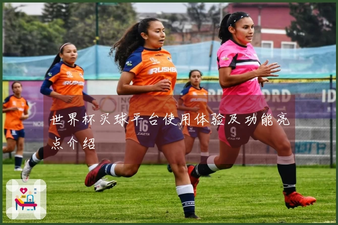 世界杯买球平台使用体验及功能亮点介绍