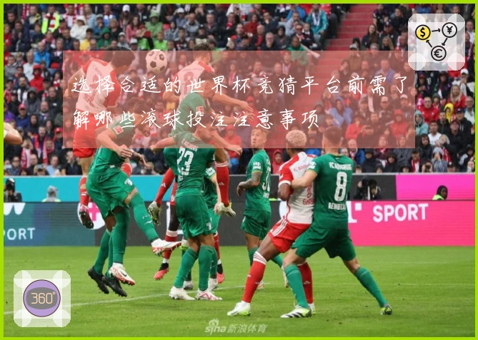 选择合适的世界杯竞猜平台前需了解哪些滚球投注注意事项