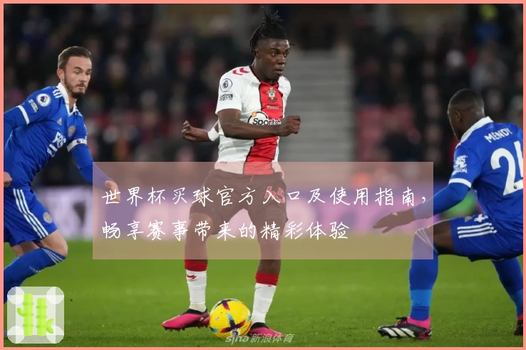 世界杯买球官方入口及使用指南，畅享赛事带来的精彩体验