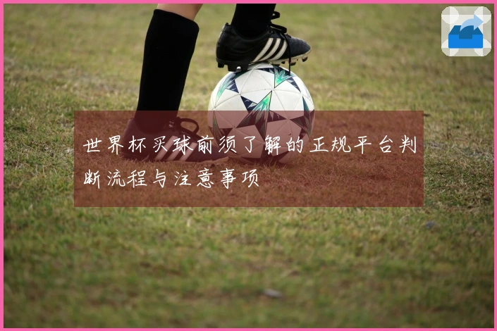 世界杯买球前须了解的正规平台判断流程与注意事项