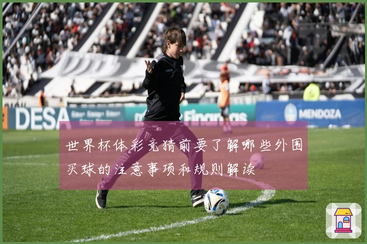 世界杯体彩竞猜前要了解哪些外围买球的注意事项和规则解读
