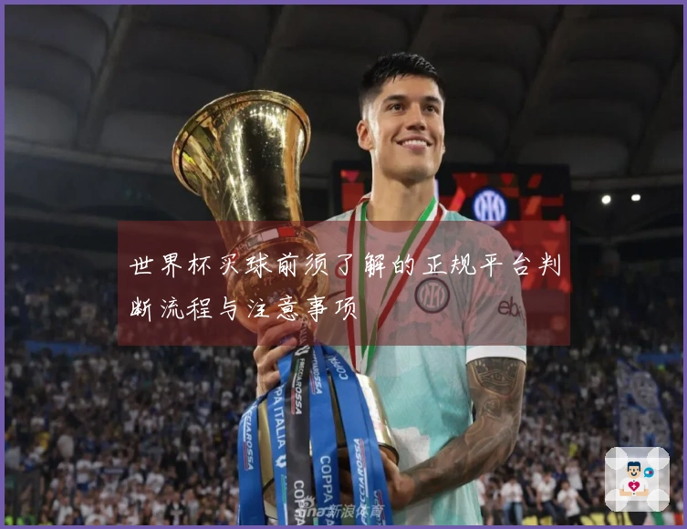 世界杯买球前须了解的正规平台判断流程与注意事项