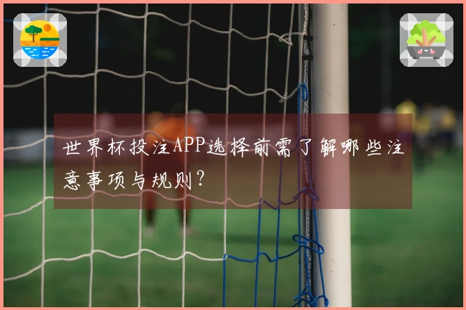 世界杯投注APP选择前需了解哪些注意事项与规则？