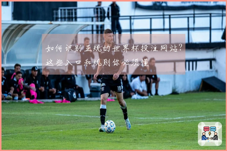 如何识别正规的世界杯投注网站?这些入口和规则你必须懂