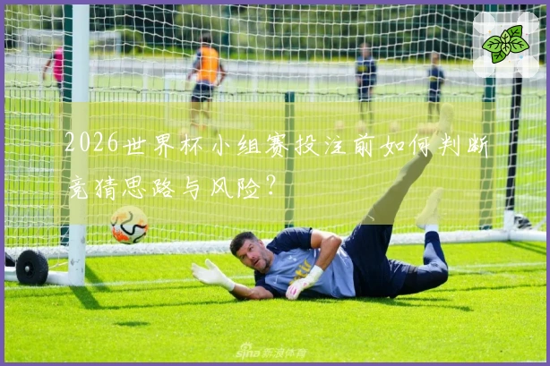 2026世界杯小组赛投注前如何判断竞猜思路与风险？